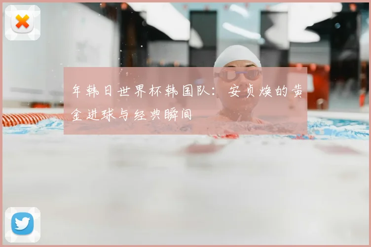 年韩日世界杯韩国队：安贞焕的黄金进球与经典瞬间